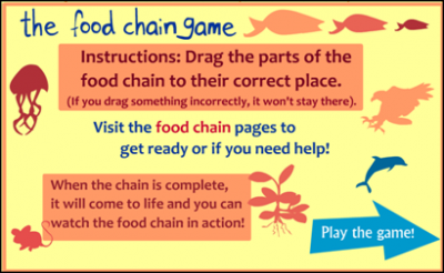 FOOD CHAINS