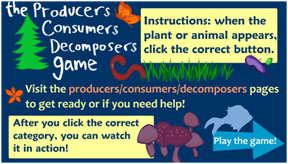 PRODUCER-CONSUMER-DECOMPOSER